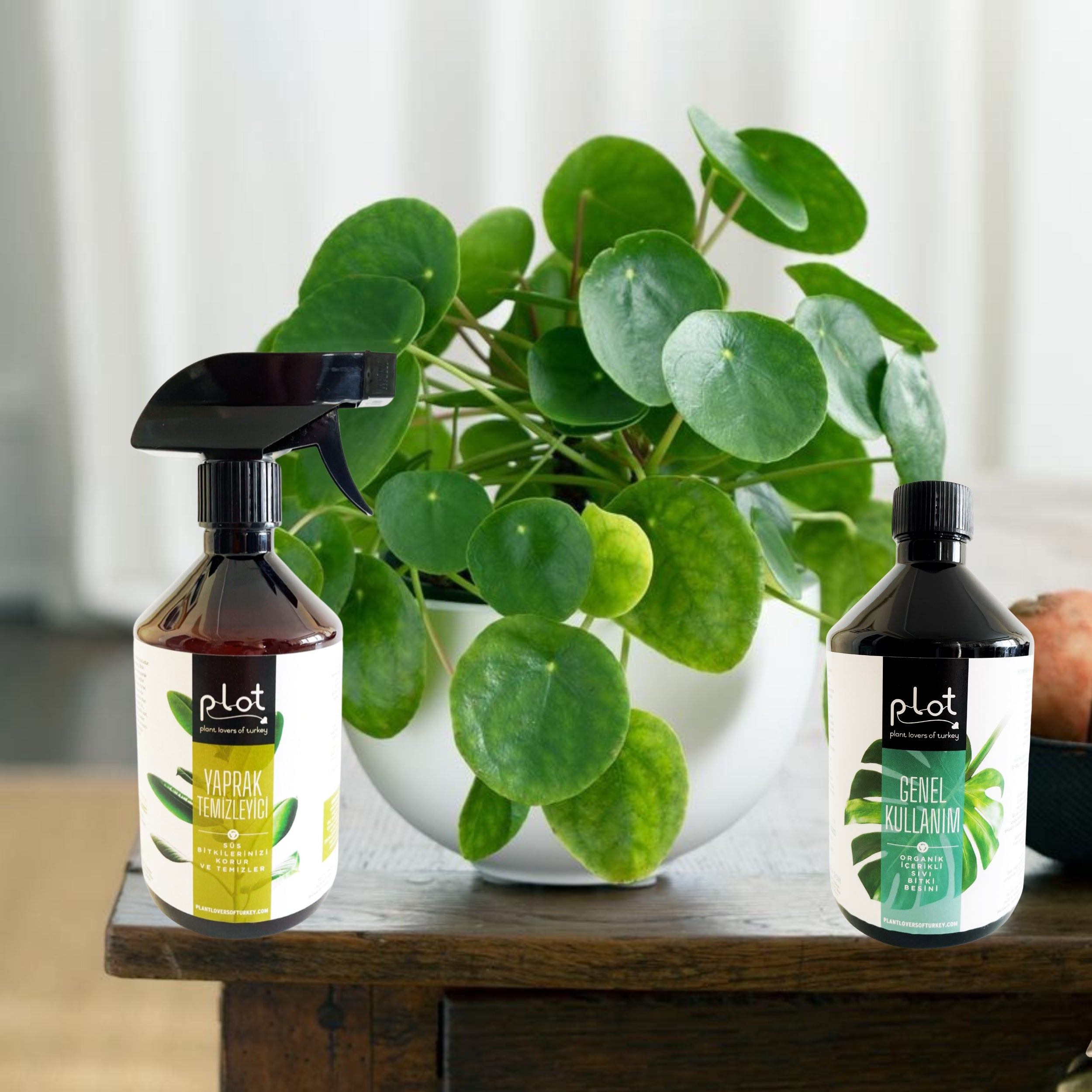 General Plant Care Set: 500 ml Flowering & Non-Flowering Plant Food + 500 ml Leaf Cleaner & Protector Spray