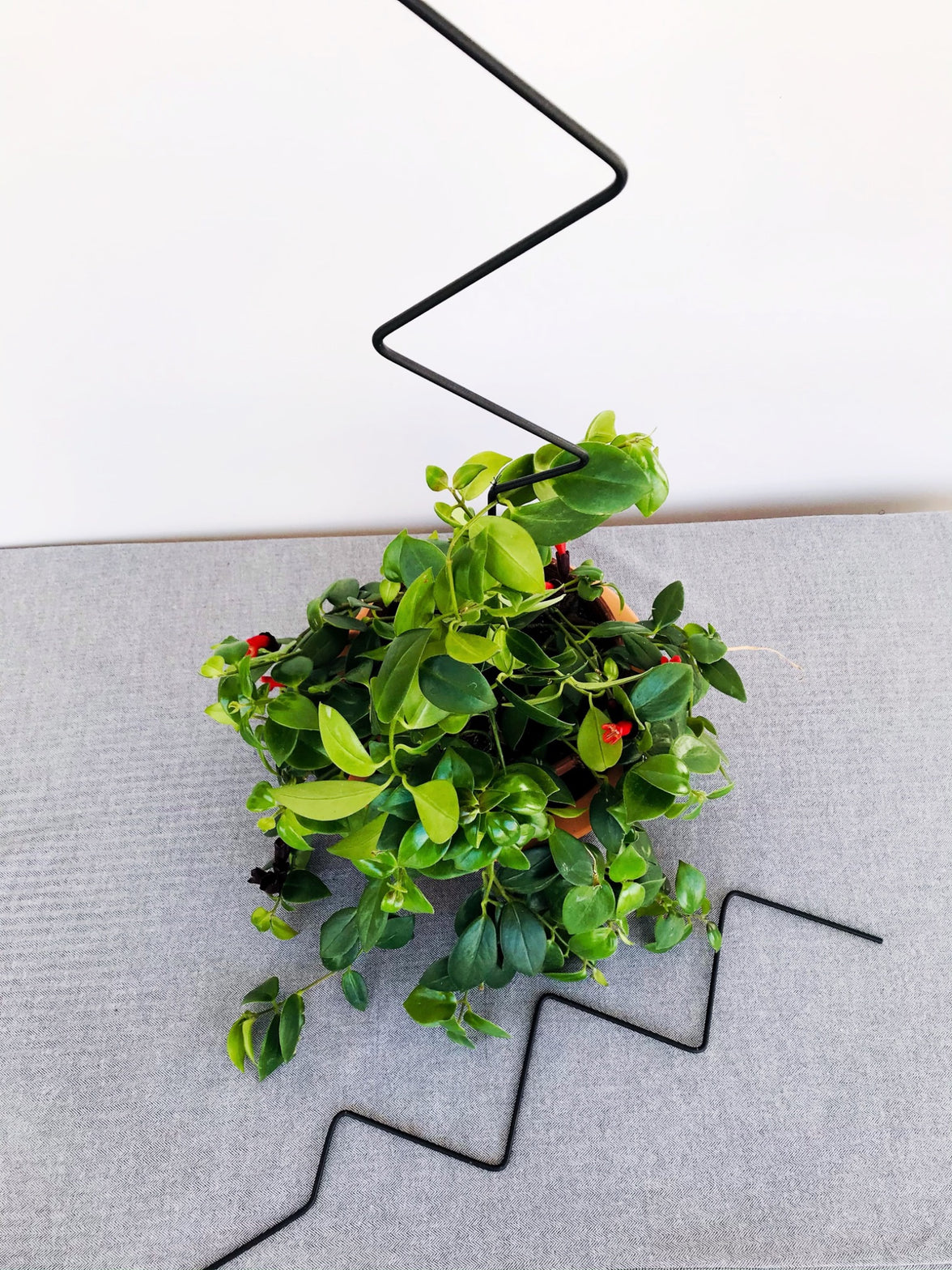 Metal Plant Support Zigzag Model 80 cm Black for Climbing Large-Leaved Plants