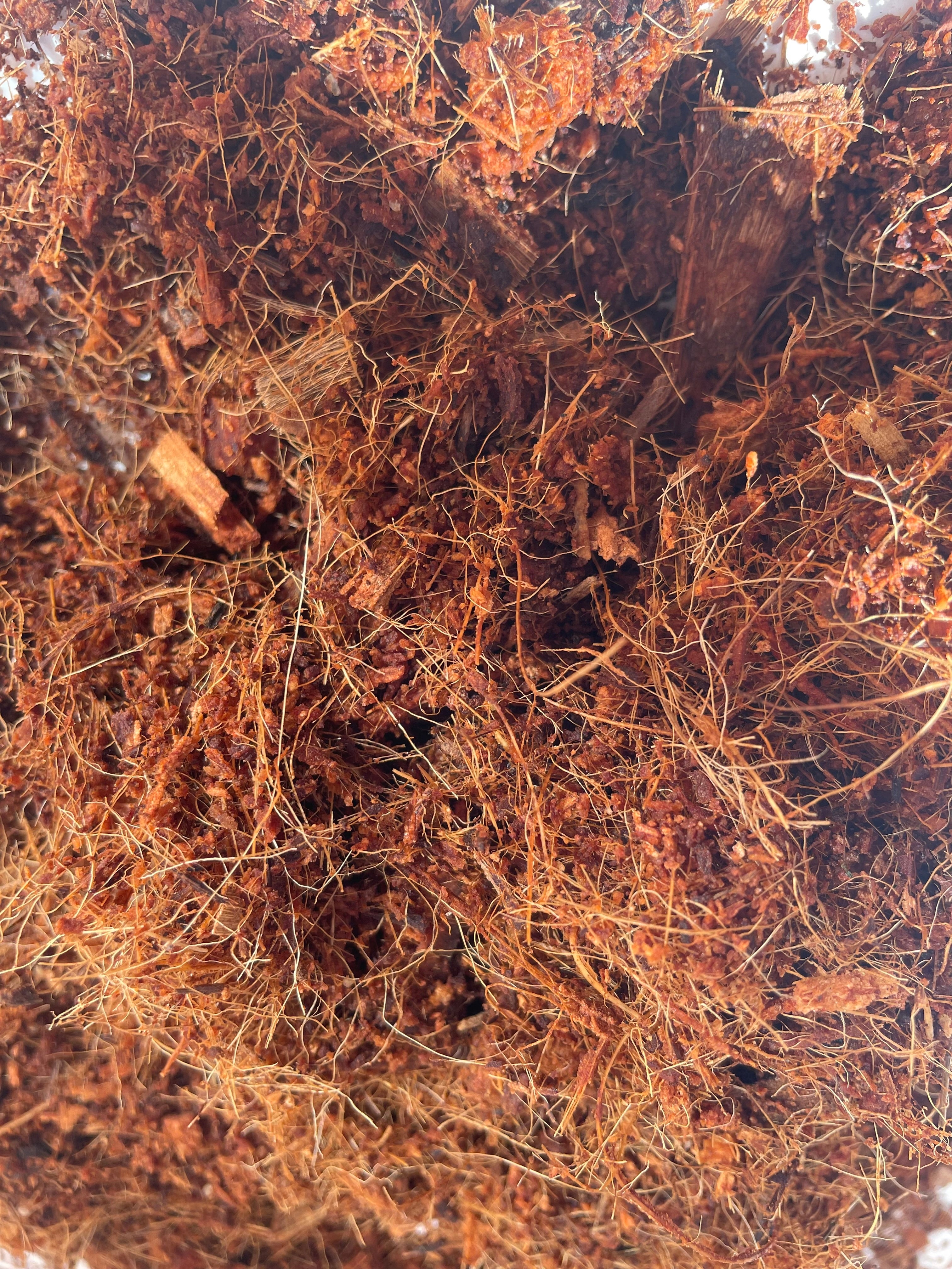 Coco Coir 100% Natural Cocopeat Plant Soil Additive 7.5 Liters