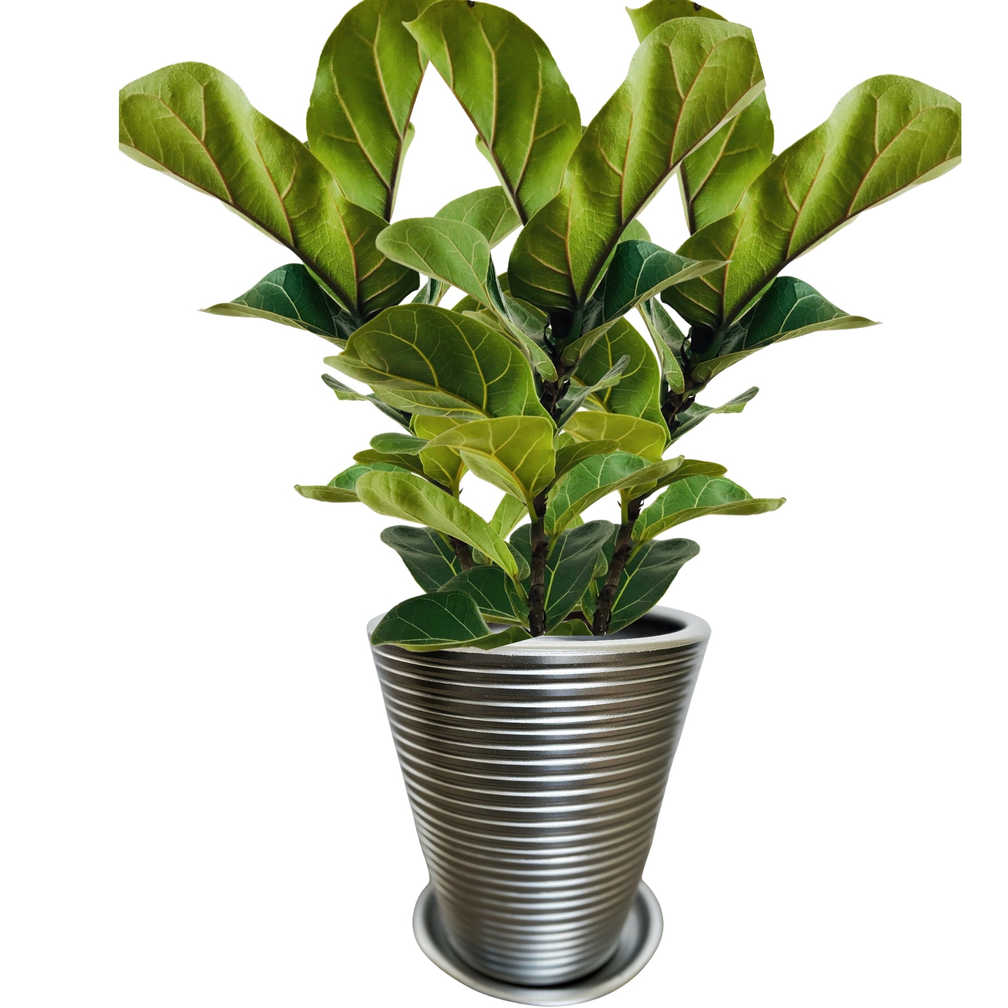 Dubai Series Terracotta Pot 24x21 cm, Striped, with Saucer, Drainage Hole, Decorative, Silver