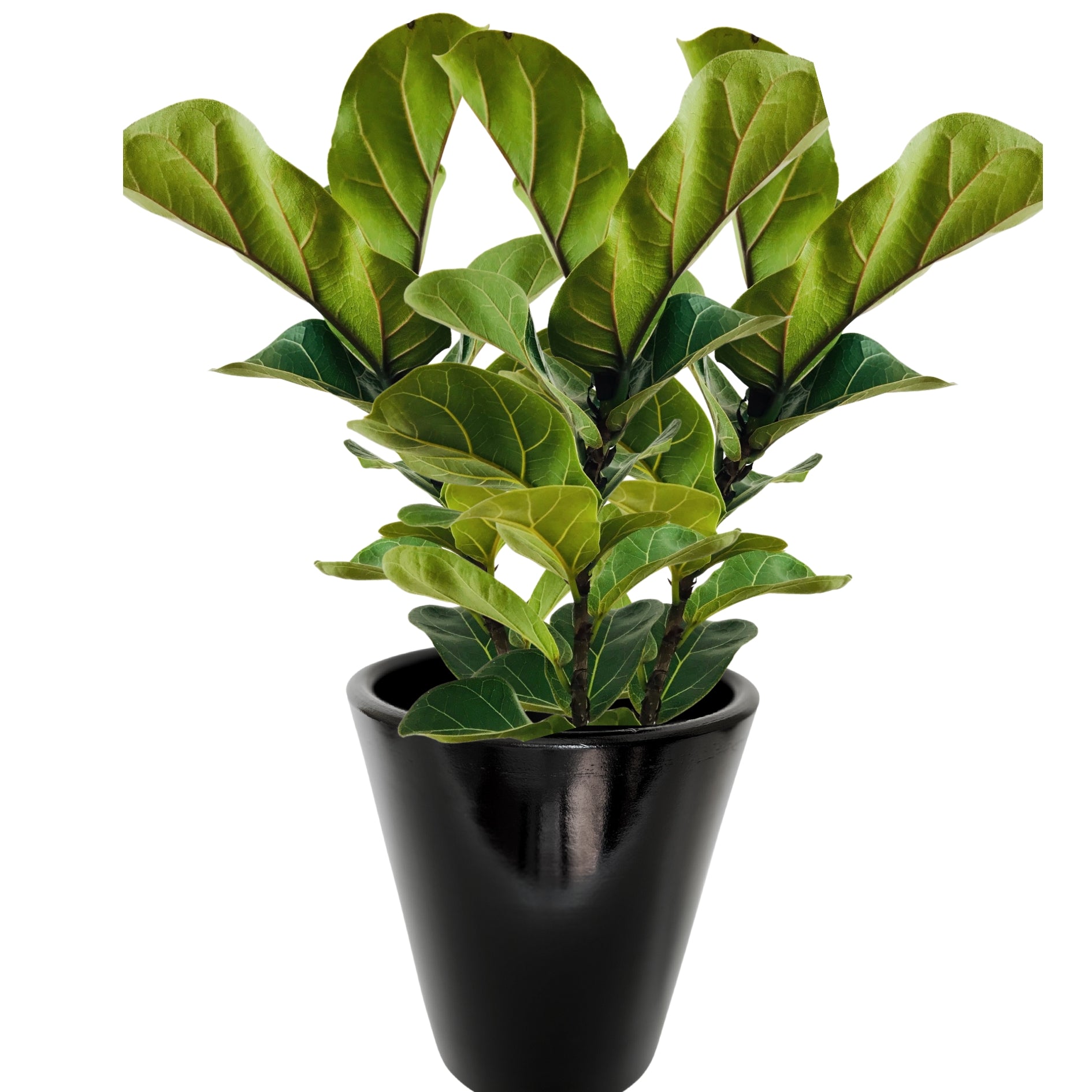 Dubai Series Terracotta Pot 24x21 cm, Striped, with Saucer, with Drainage Hole, Decorative, Black