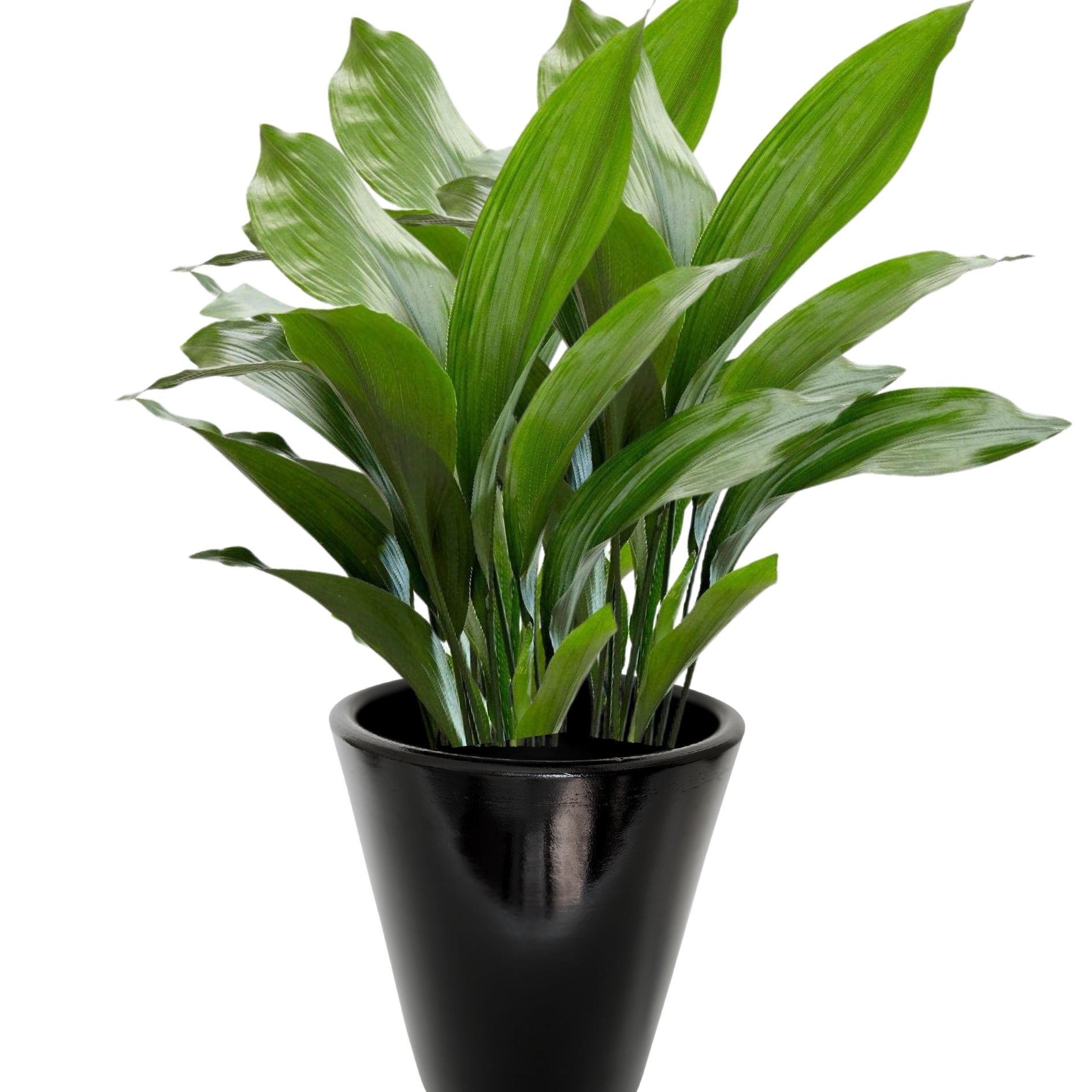 Dubai Series Terracotta Pot 24x21 cm, Striped, with Saucer, with Drainage Hole, Decorative, Black