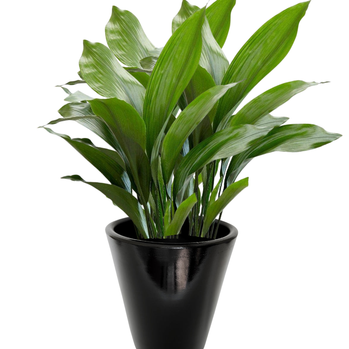 Dubai Series Terracotta Pot 24x21 cm, Striped, with Saucer, with Drainage Hole, Decorative, Black