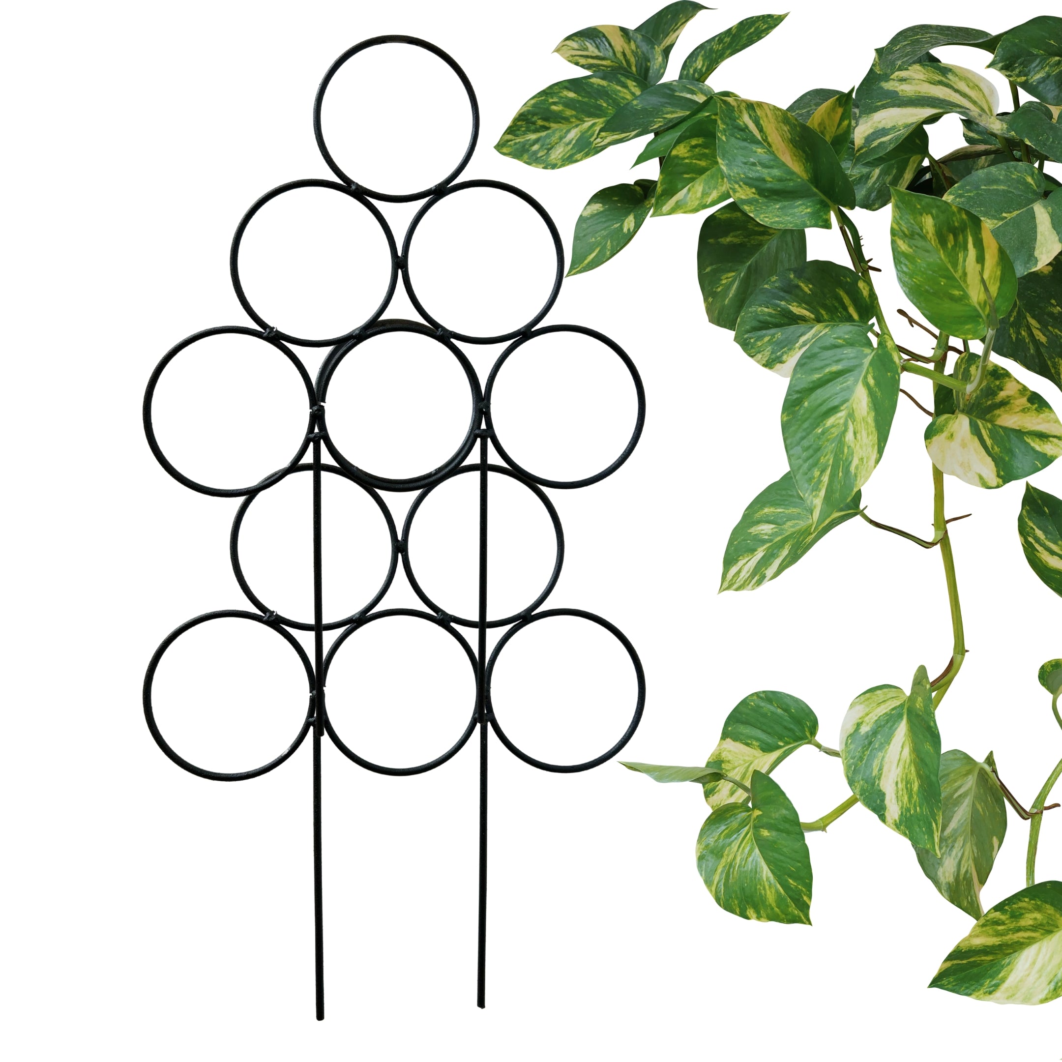 MODÜLER Metal Bitki Desteği 38 cm x 28 cm