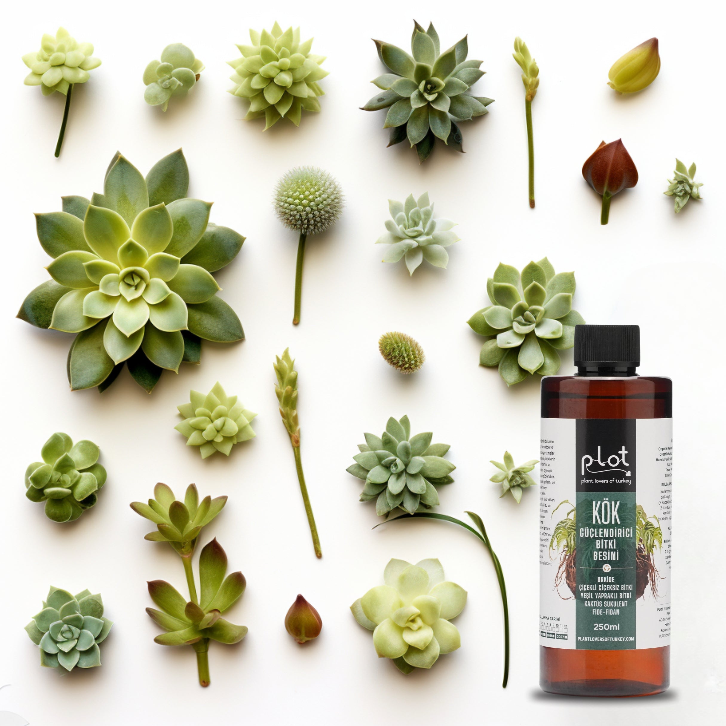 Root Strengthening Plant Food 250 ml for Orchids, Cacti, Succulents, Seedlings, and Flowering Plants