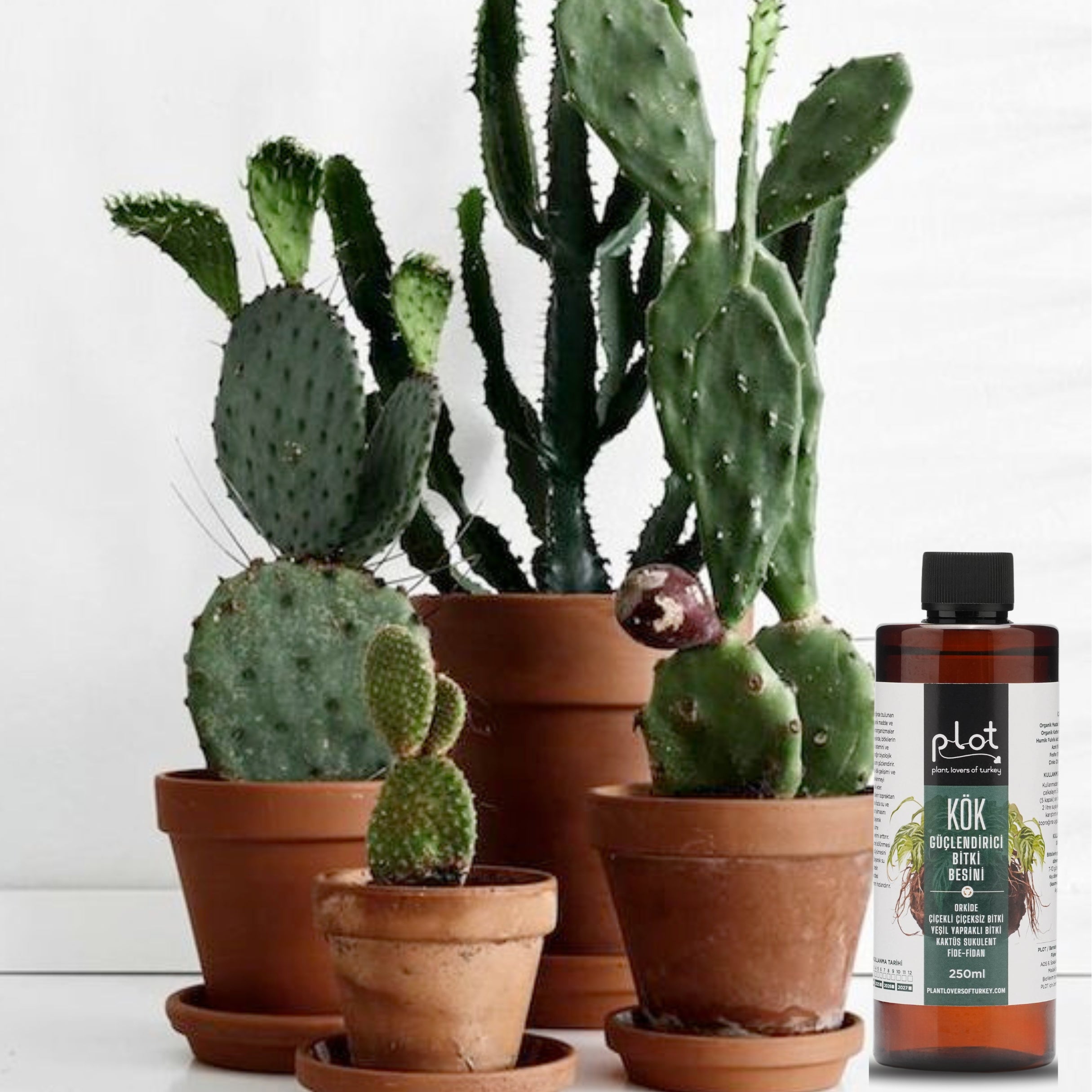 Root Strengthening Plant Food 250 ml for Orchids, Cacti, Succulents, Seedlings, and Flowering Plants