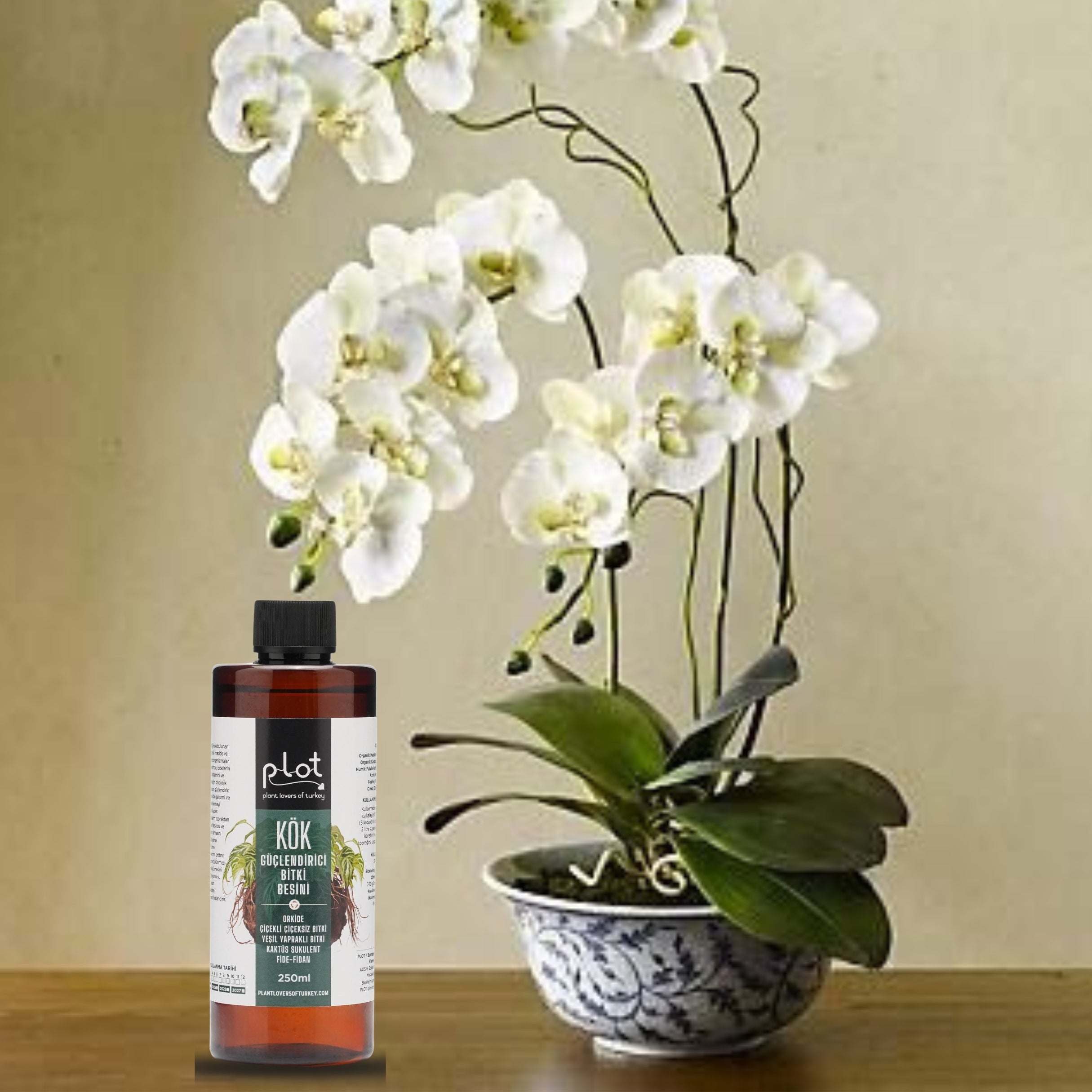 Root Strengthening Plant Food 250 ml for Orchids, Cacti, Succulents, Seedlings, and Flowering Plants