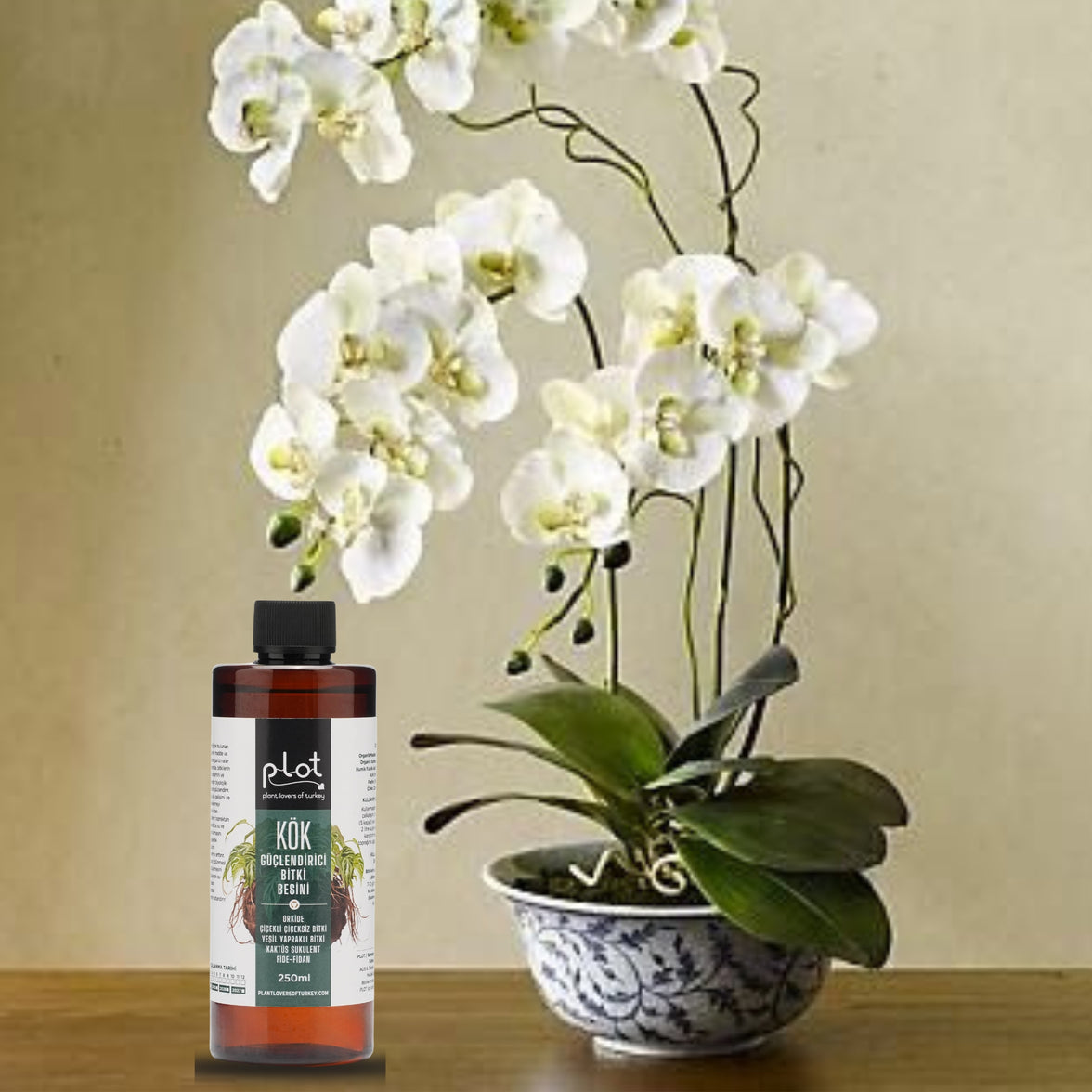 Root Strengthening Plant Food 250 ml for Orchids, Cacti, Succulents, Seedlings, and Flowering Plants