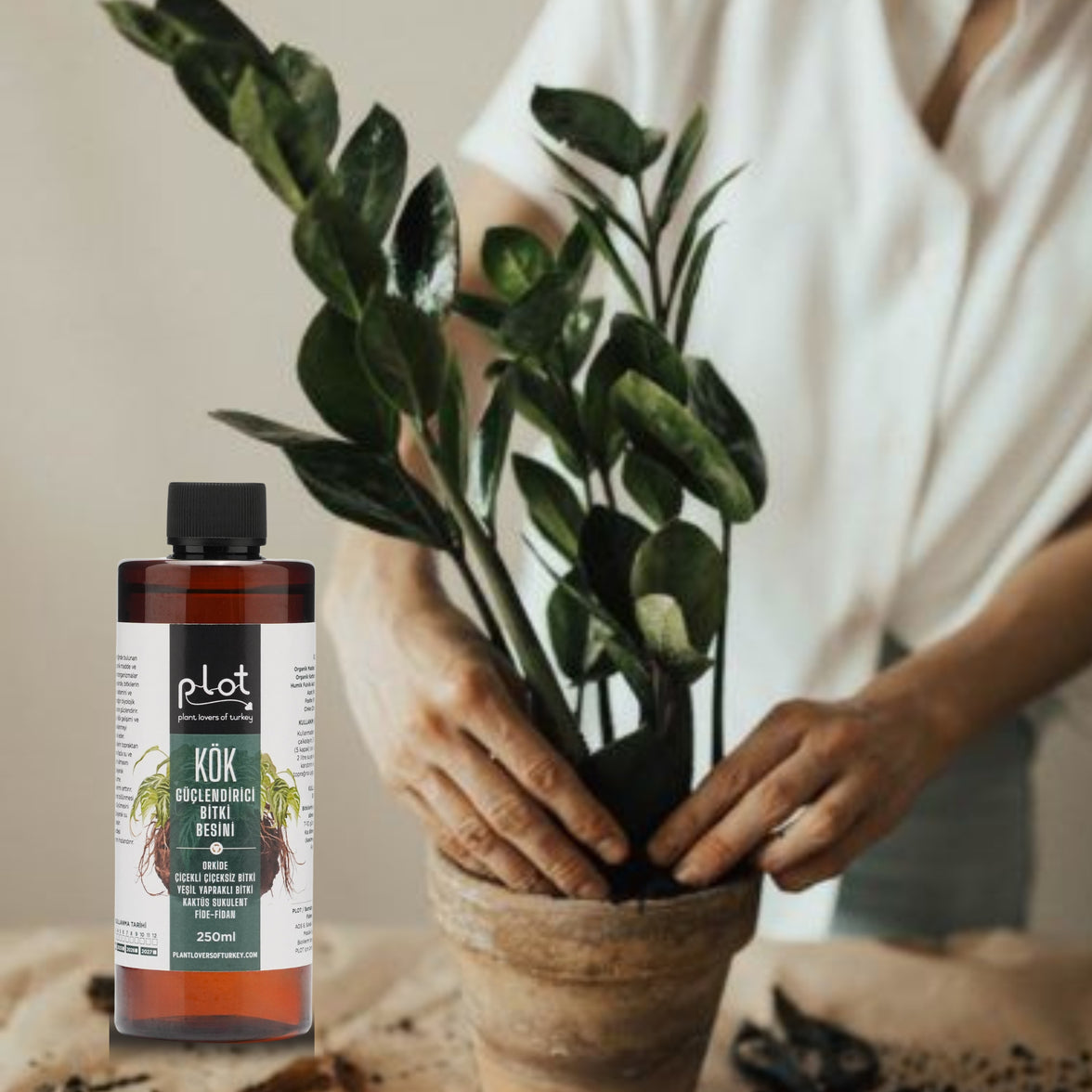 Root Strengthening Plant Food 250 ml for Orchids, Cacti, Succulents, Seedlings, and Flowering Plants