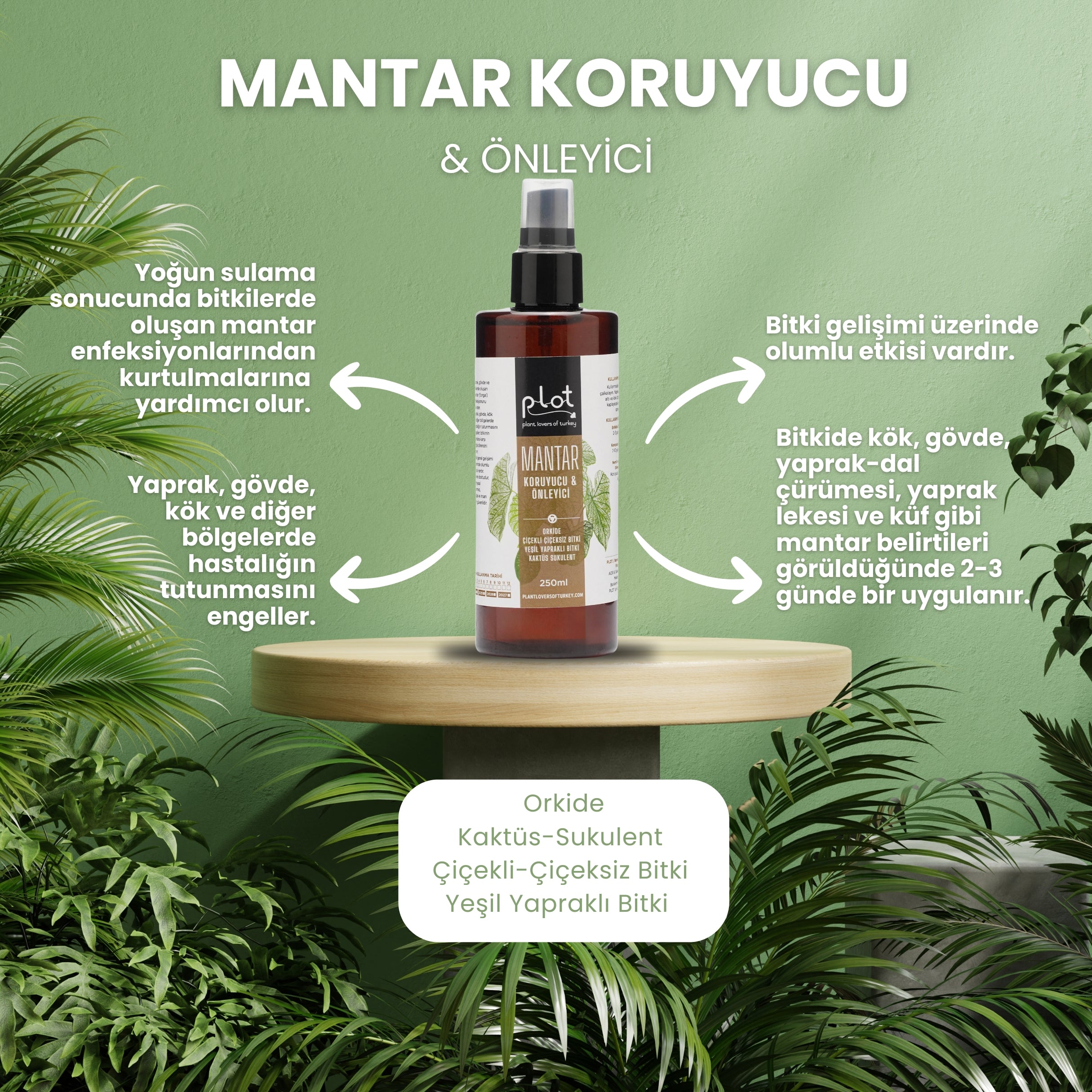 Mantar Koruyucu ve Önleyici 250 ml