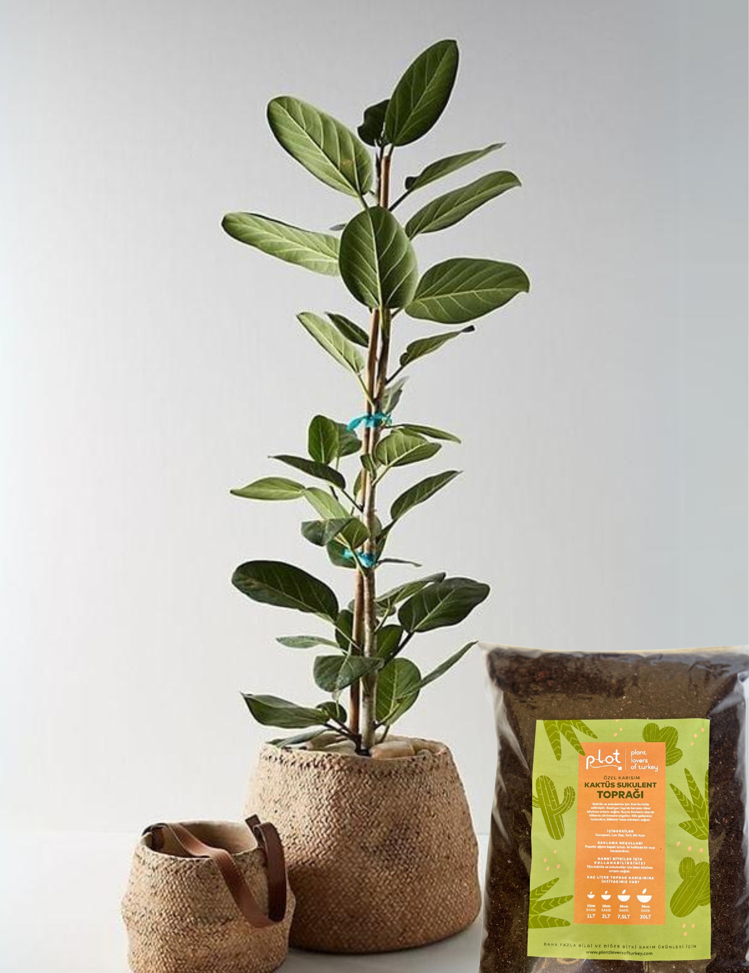 Cactus Succulent Soil Special Mix Permeable Soil Suitable for Terrarium 1 L