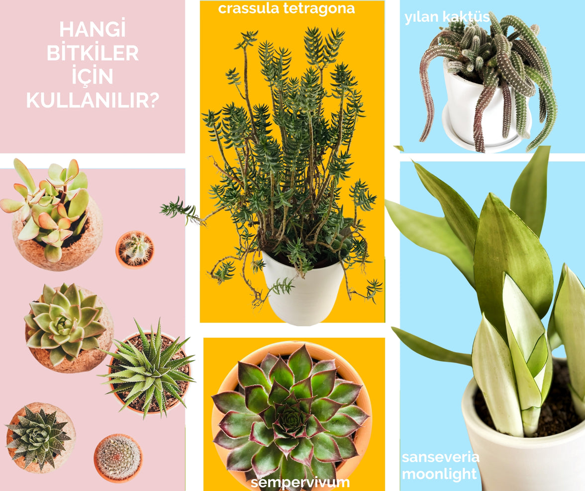Kaktüs Sukulent Toprağı 10 litre