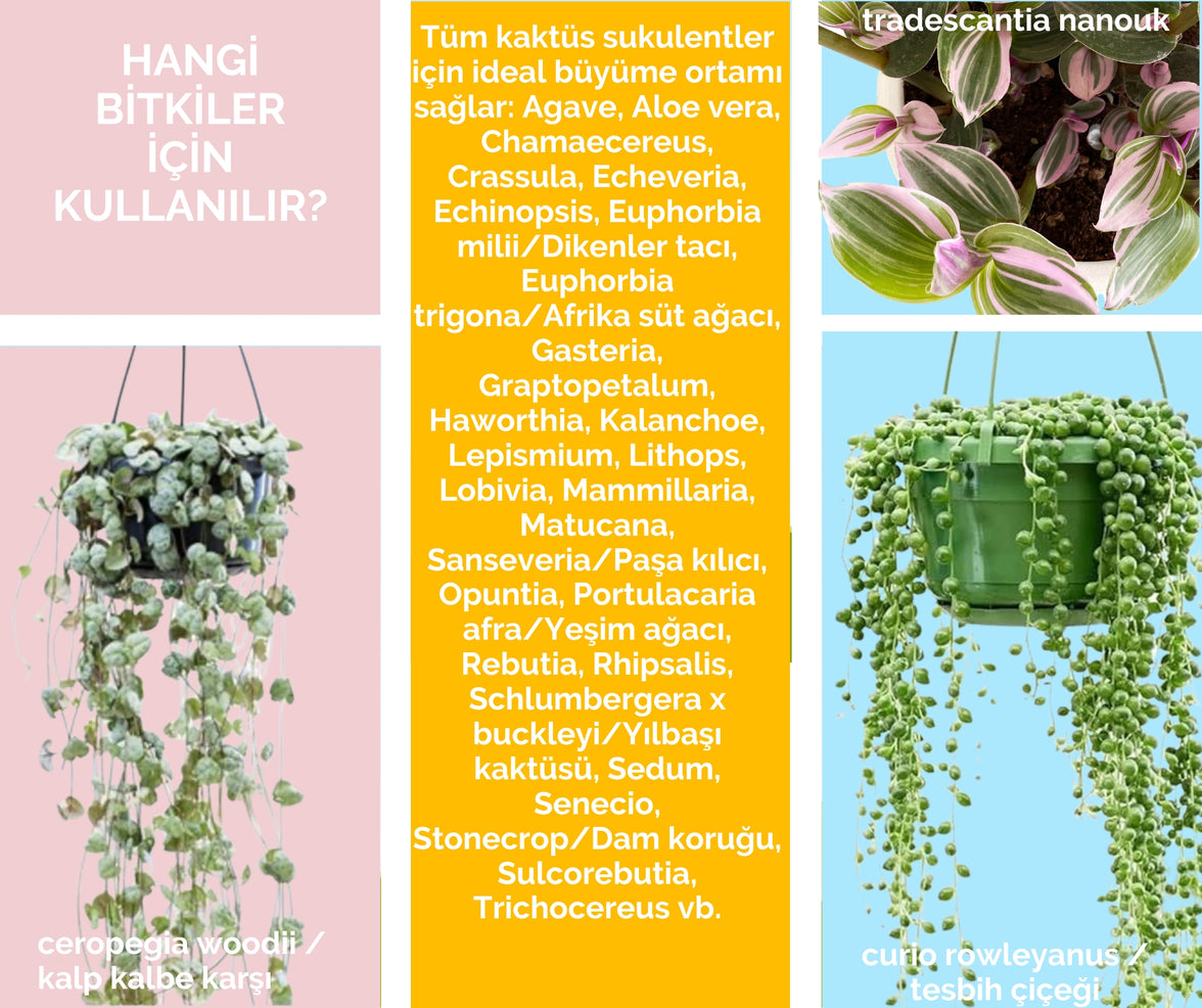 Kaktüs Sukulent Toprağı 10 litre