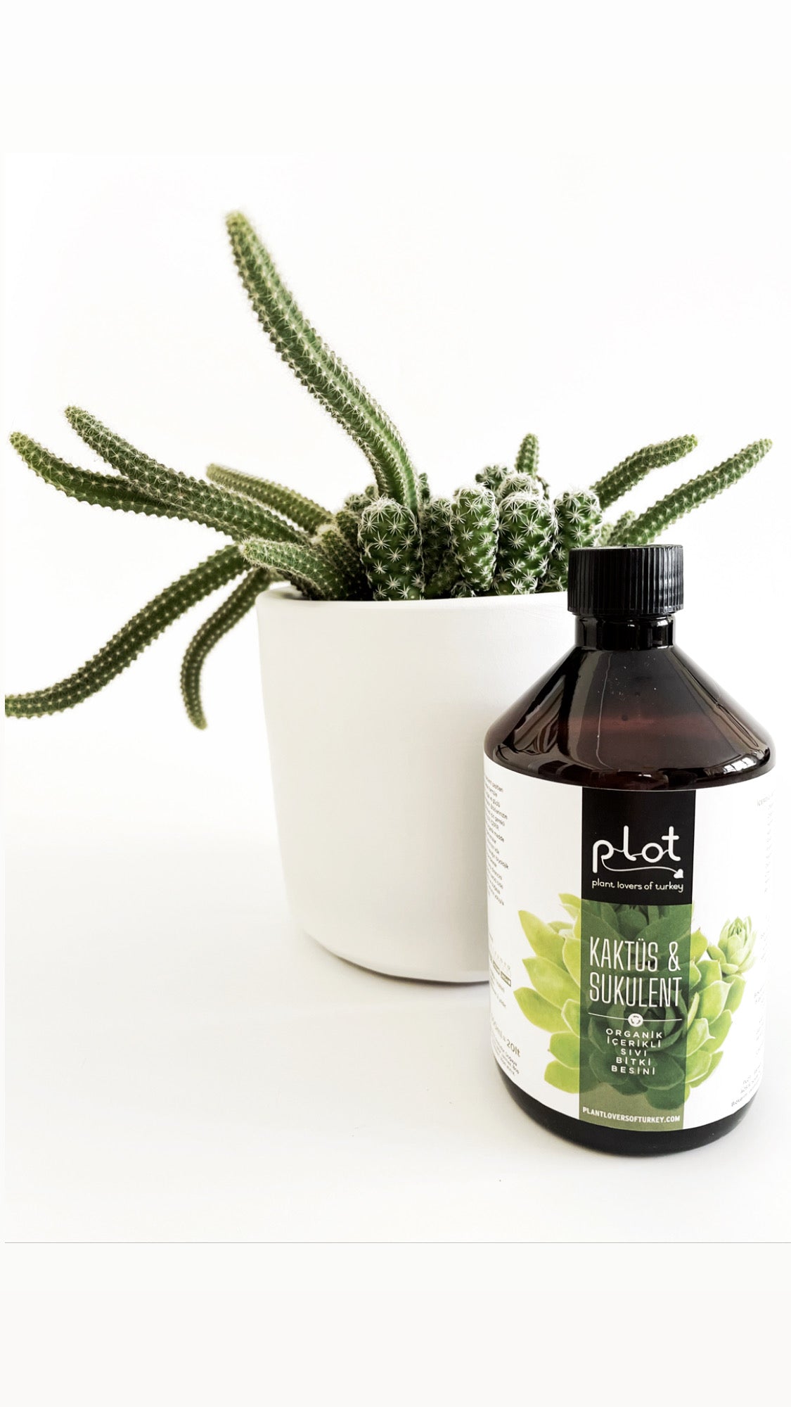 Kaktüs Sukulent Bitki Besini 500 ml