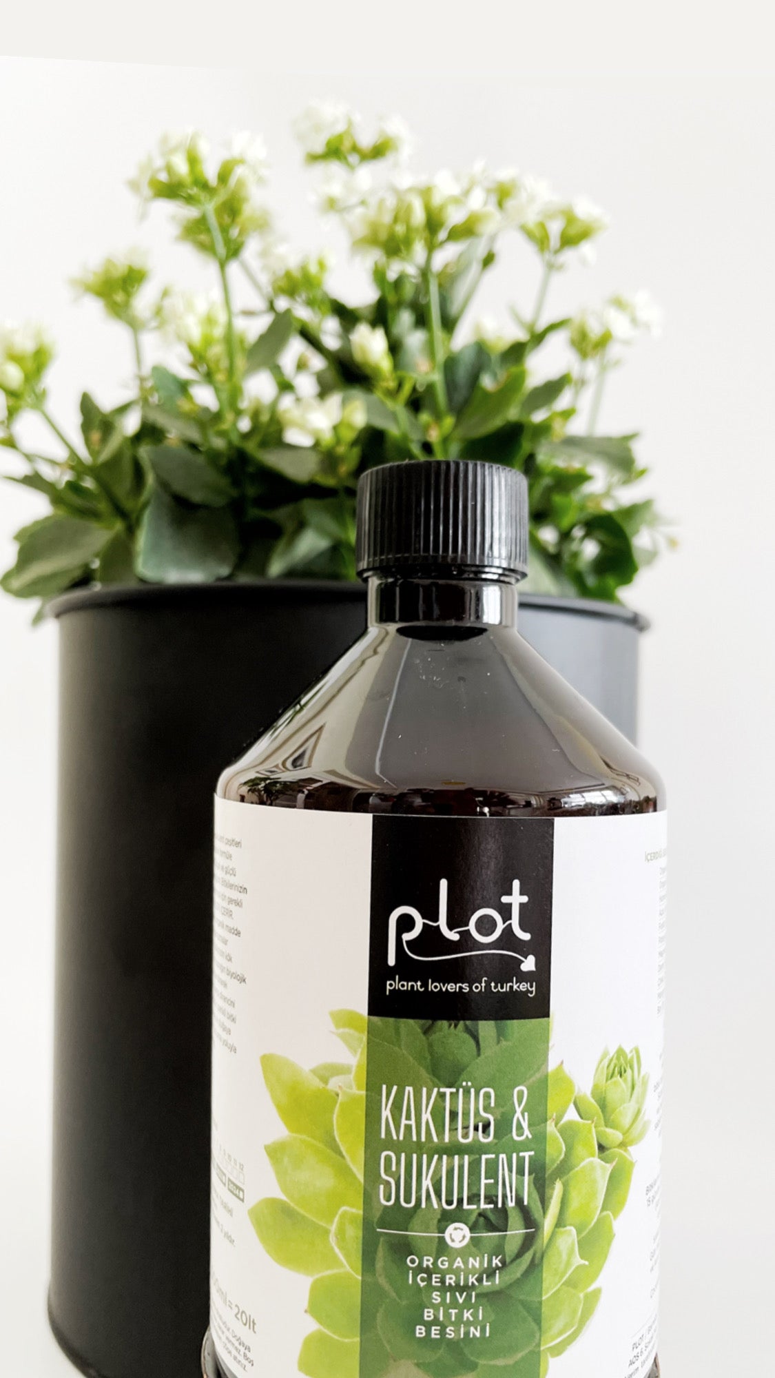 Kaktüs Sukulent Bitki Besini 500 ml