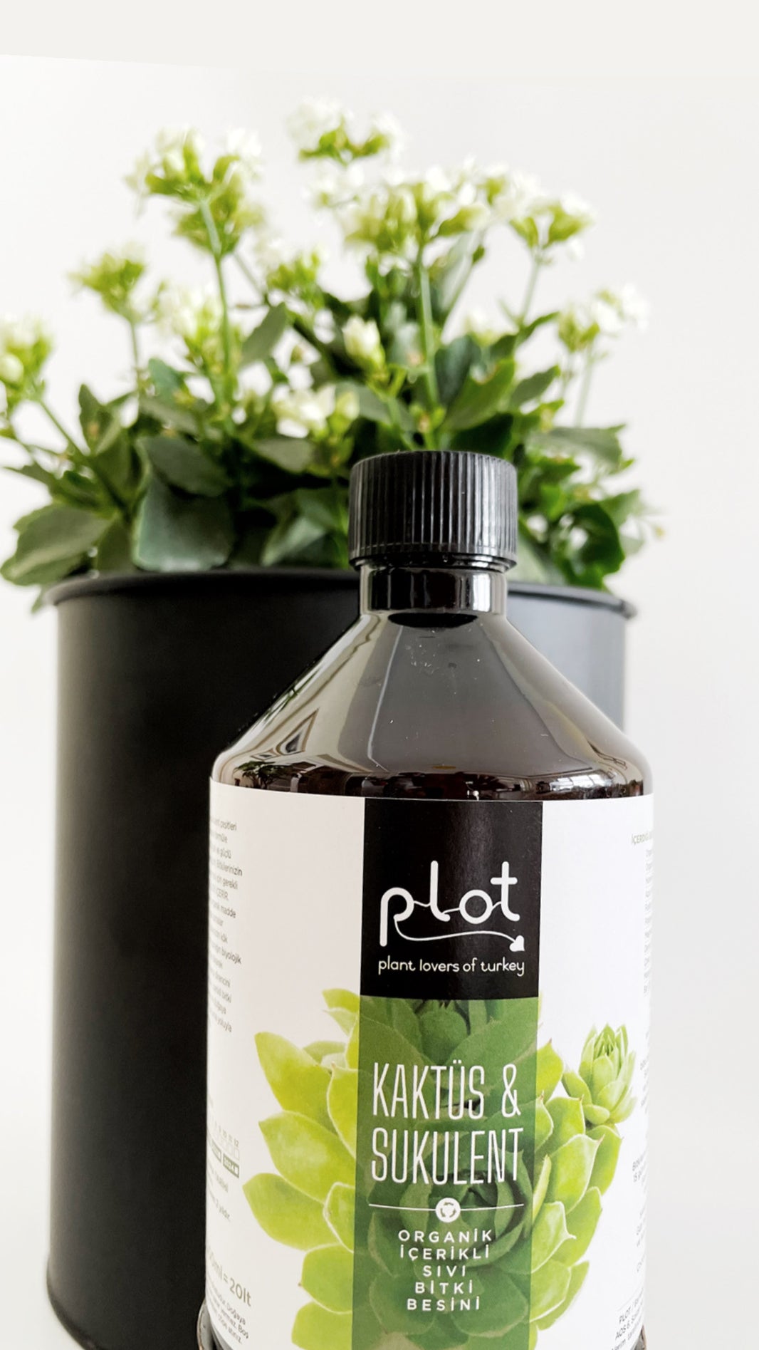 Kaktüs Sukulent Bitki Besini 500 ml