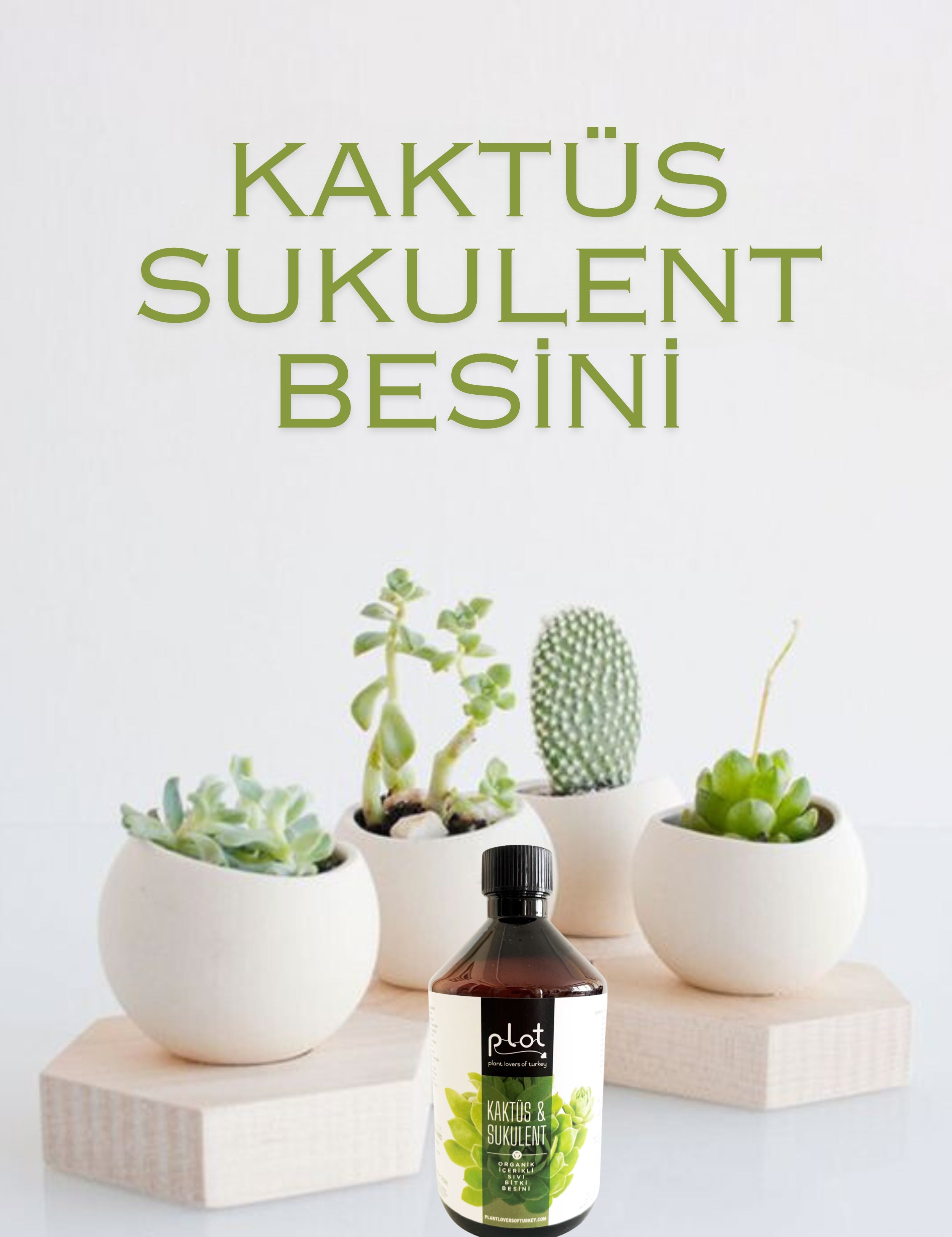 Kaktüs Sukulent Bitki Besini 500 ml
