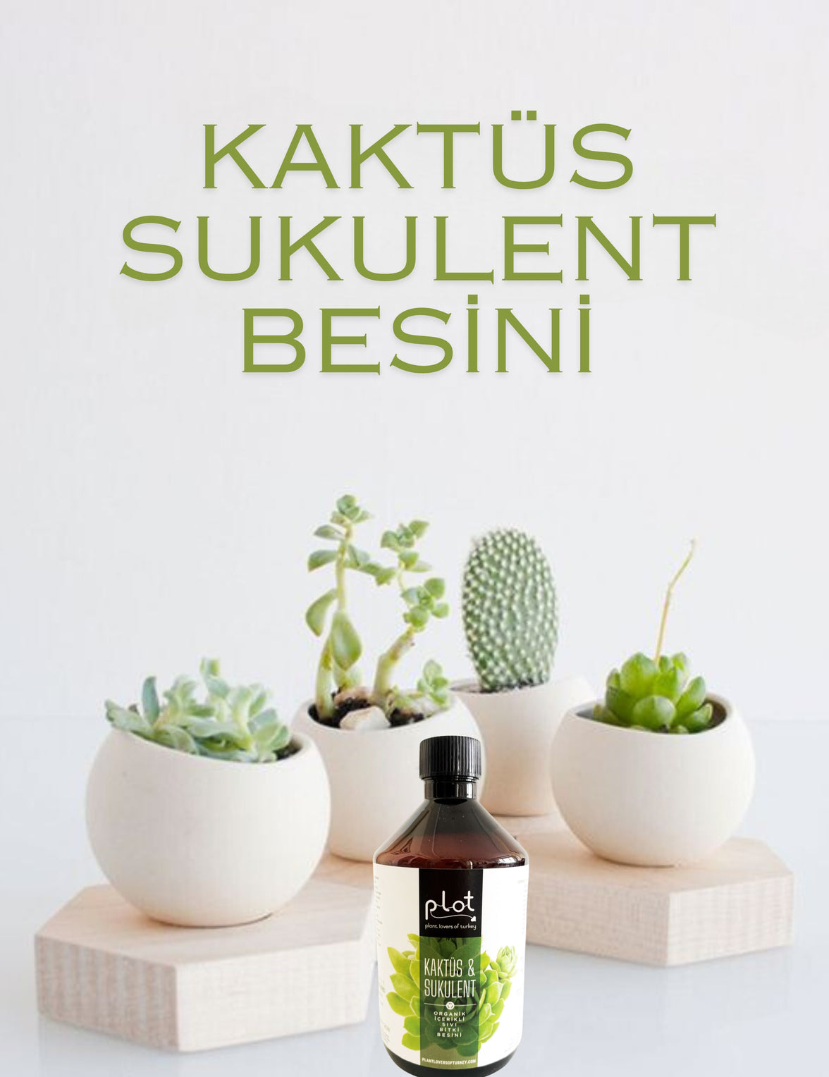 Kaktüs Sukulent Bitki Besini 500 ml