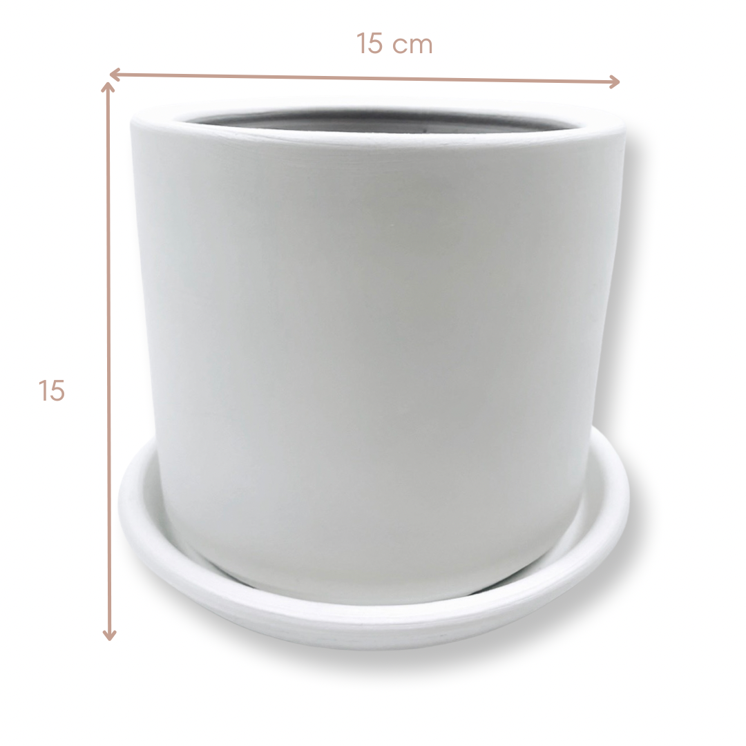 London Series Terracotta Pot 15x15 cm, With Saucer, Drainage Hole, Decorative, White