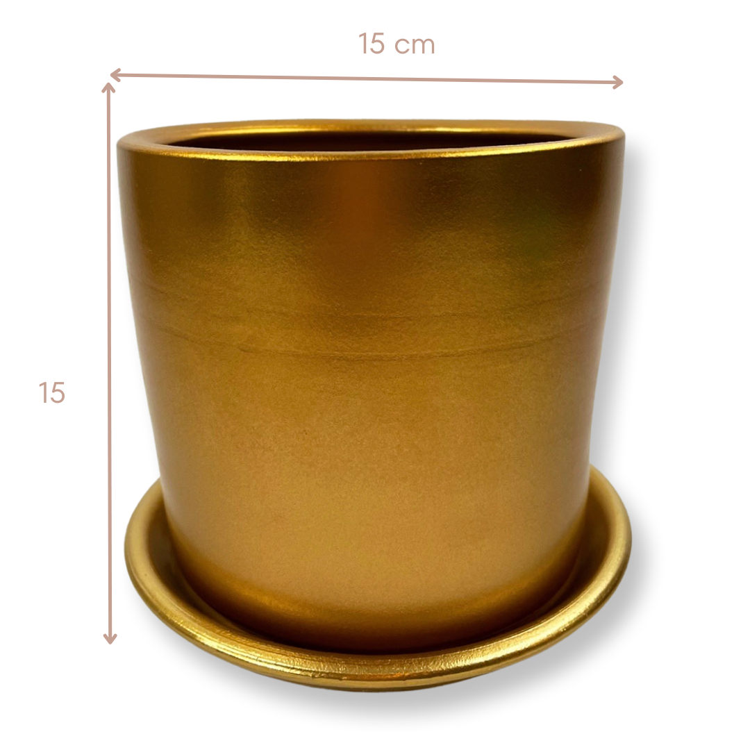 London Series Terracotta Pot 15x15 cm, with Saucer, Drainage Hole, Decorative, Gold Color