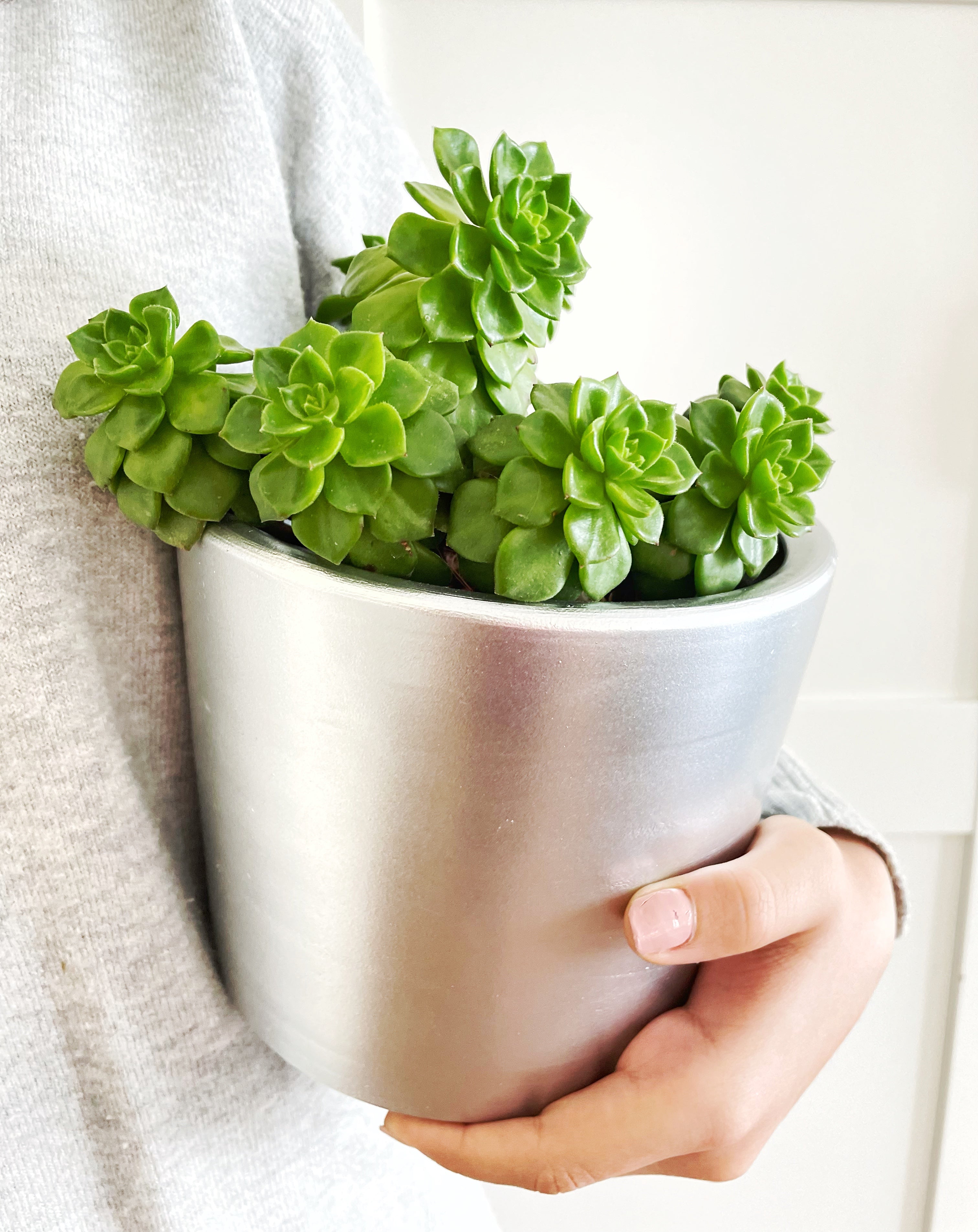 London Series Terracotta Pot 15x15 cm, With Saucer, Drainage Hole, Decorative, Silver Color