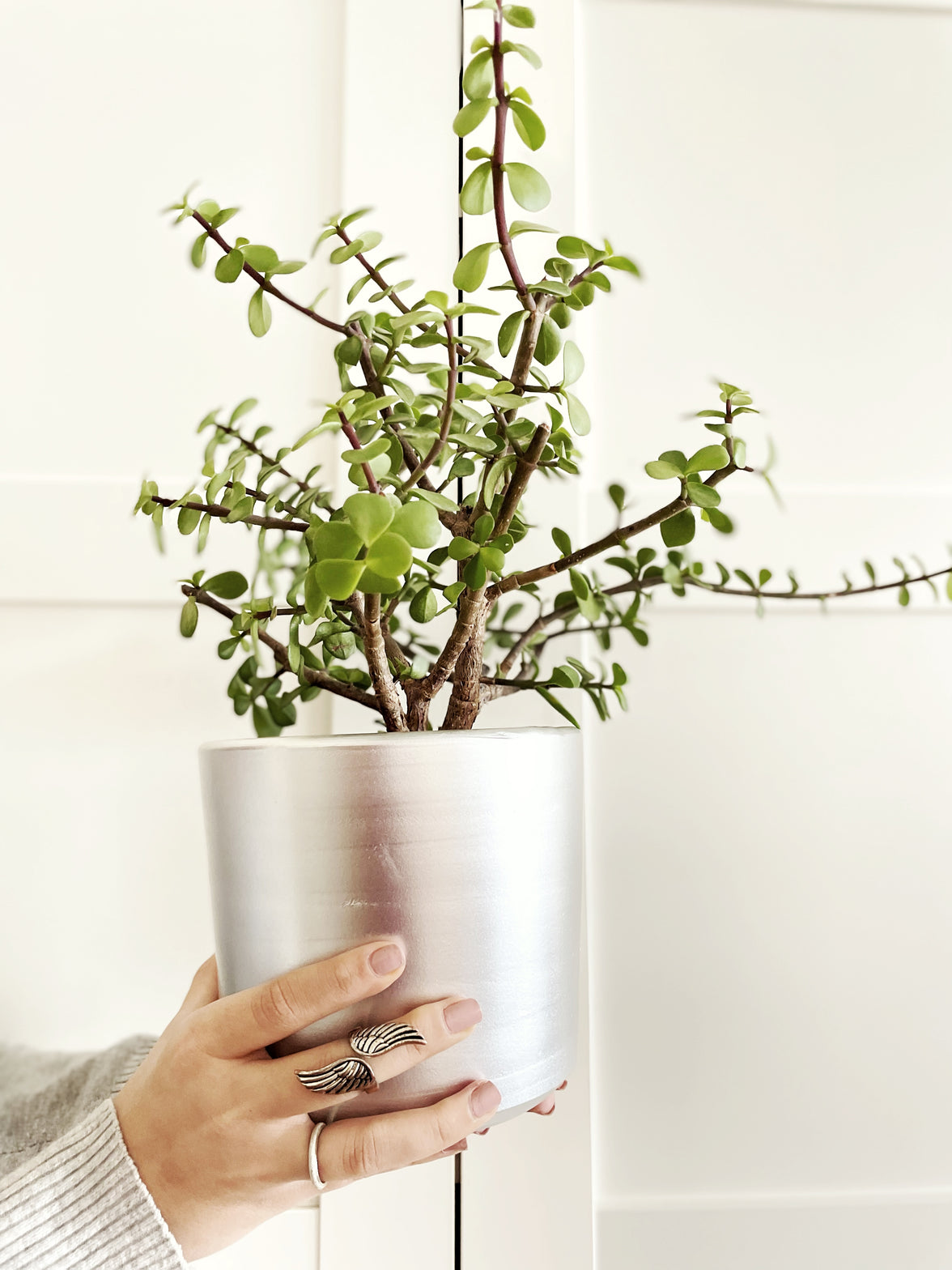 London Series Terracotta Pot 15x15 cm, With Saucer, Drainage Hole, Decorative, Silver Color