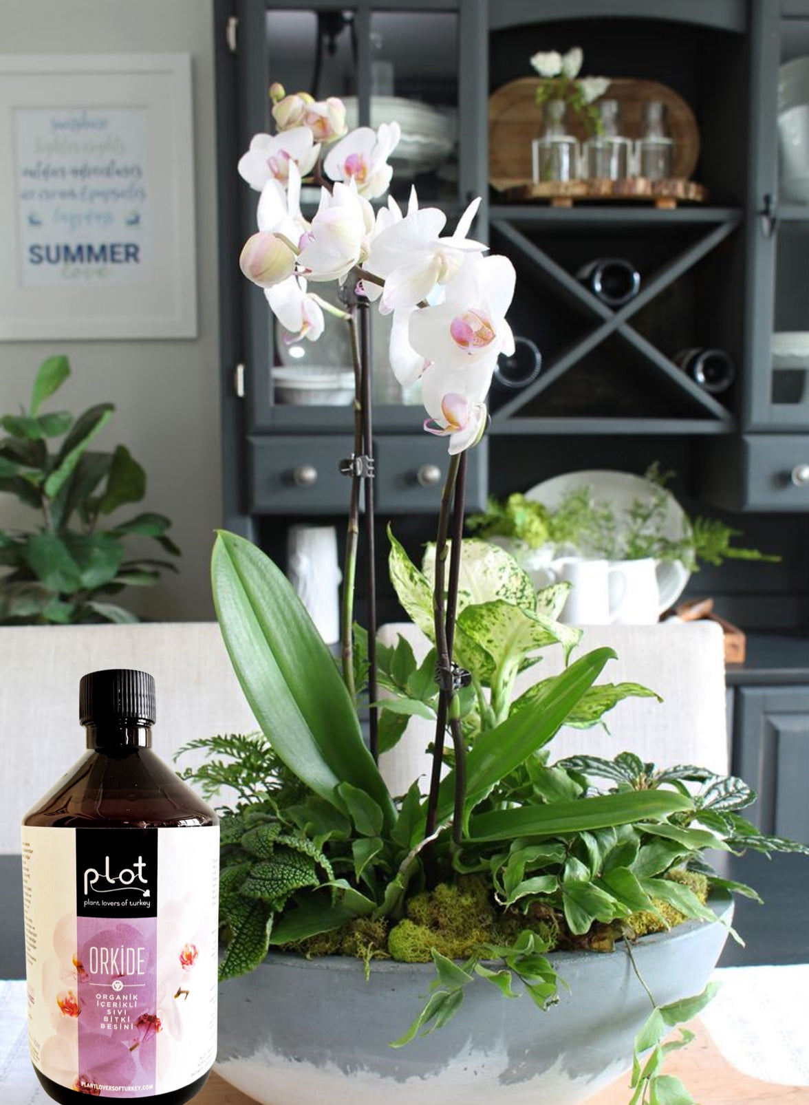 Orkide Bitki Besini 500 ml
