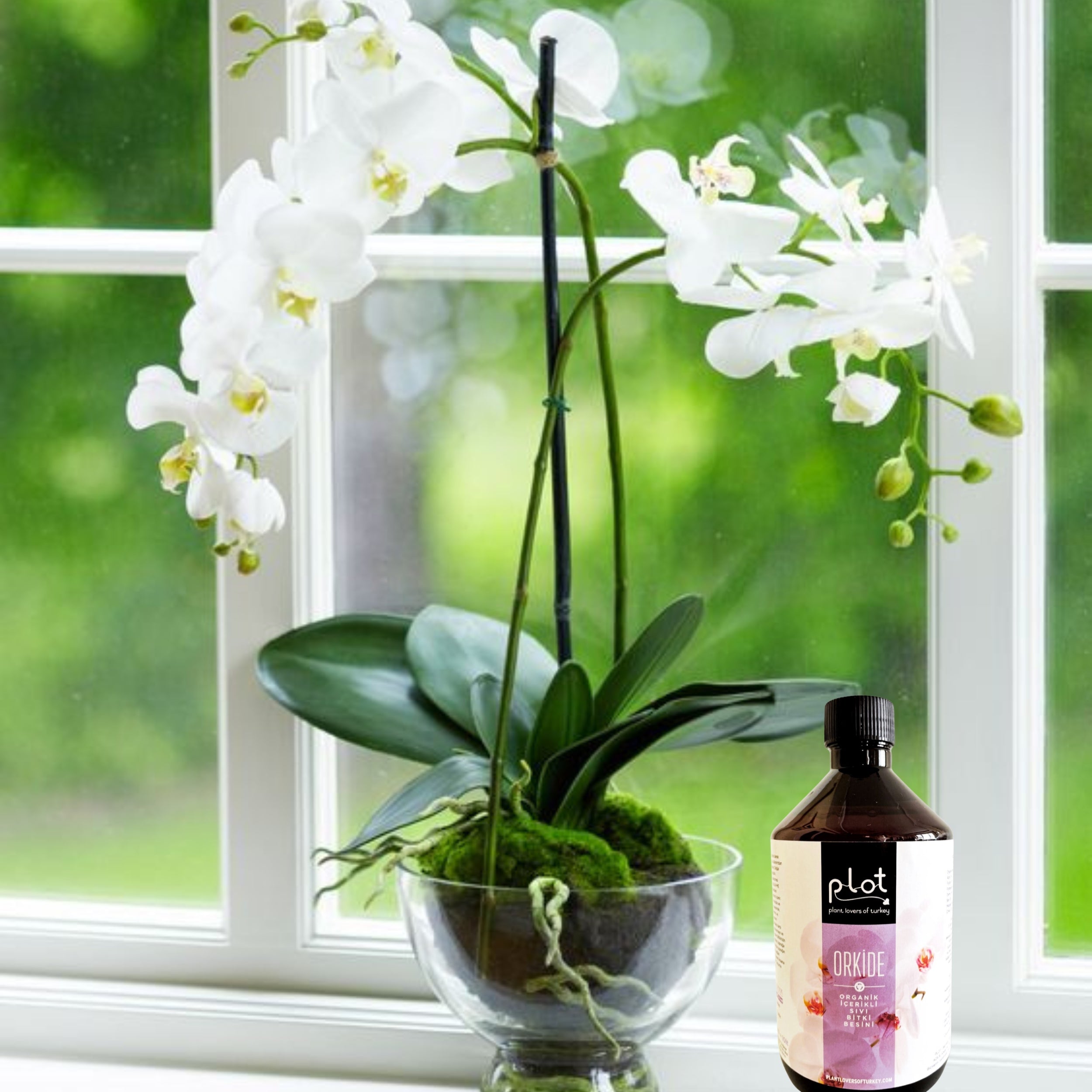 Orkide Bitki Besini 500 ml