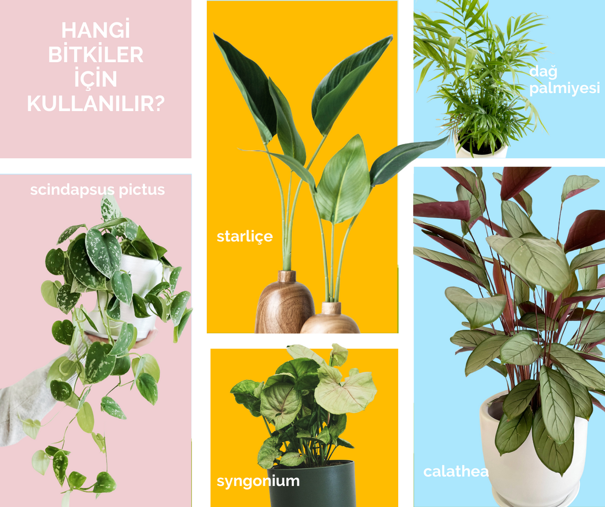 Tropik Bitki Toprağı 10 Litre