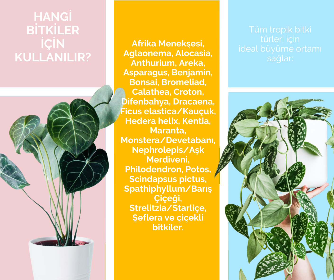Tropik Bitki Toprağı 10 Litre