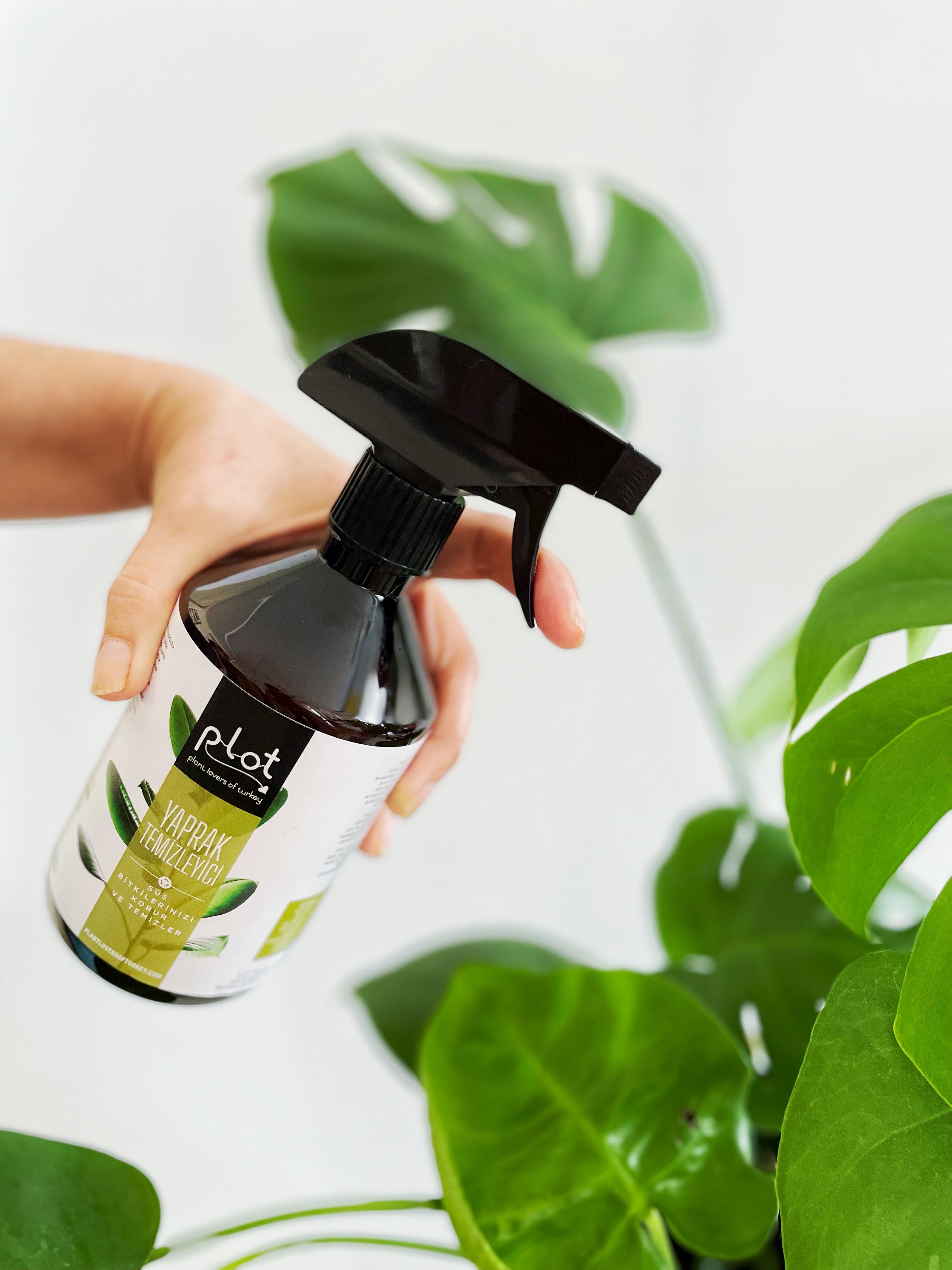 Yaprak Temizleyici ve Koruyucu Sprey 500 ml