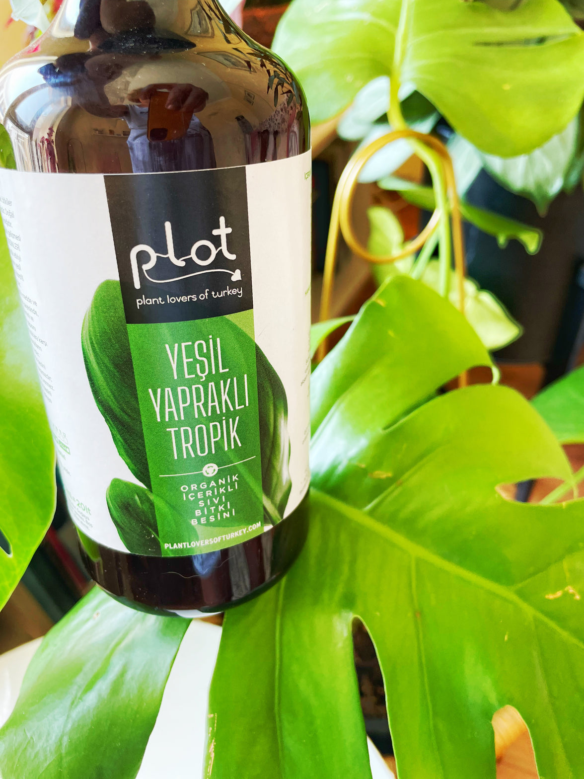 Green Leaf Plant Food 500 ml Natural Liquid Nutrient for Tropical Indoor Plants