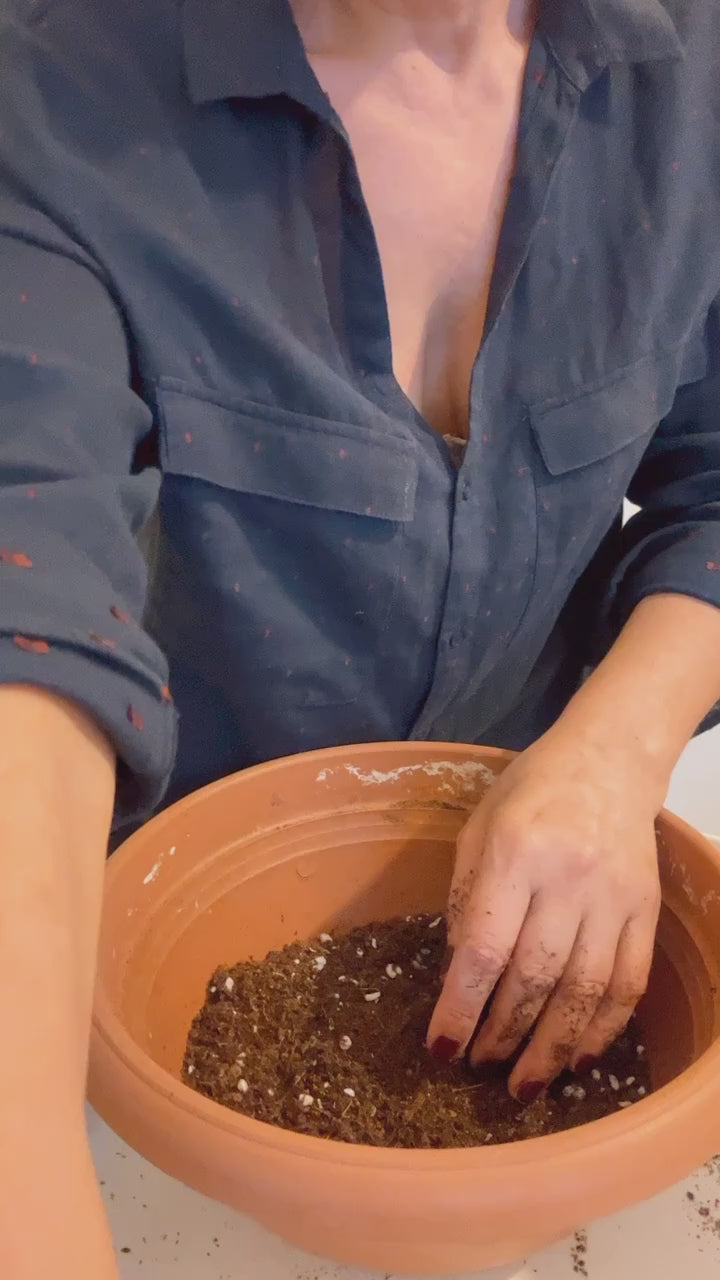Tropik Bitki Toprağı 10 Litre