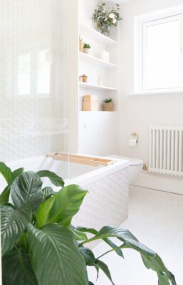 Bitkiler icin ortam nemi