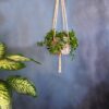 PLOT Boncuklu Bitki Askısı, evde, bahçede, ofiste, kullanıldığı ortama kaliteli şıklık katar. Aynı zamanda şık ve kaliteli bir hediye alternatifidir.
