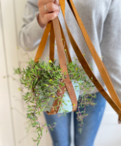 PLOT Deri Bitki Askısı gerçek deri kullanılarak üretiliştir.