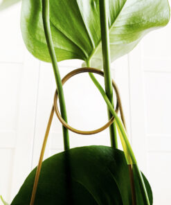 PLOT Bitki Destek Çubuğu. 65 cm. Metal. Bitkilerinize destek olur sağlıklı düzgün büyümesini sağlar. Bitkilerinizin düzen içinde uzaması için idealdir.  